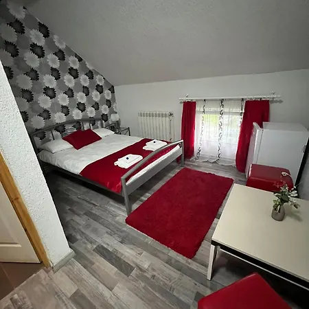 홈스테이 Casa Arian Haţeg
